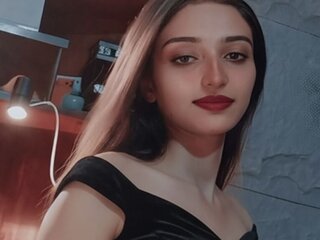 الصورة النموذجية الحالية [[U